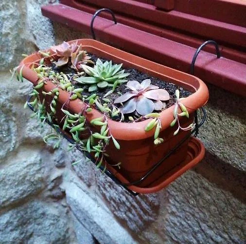 Lita's House Bainharia פורטו