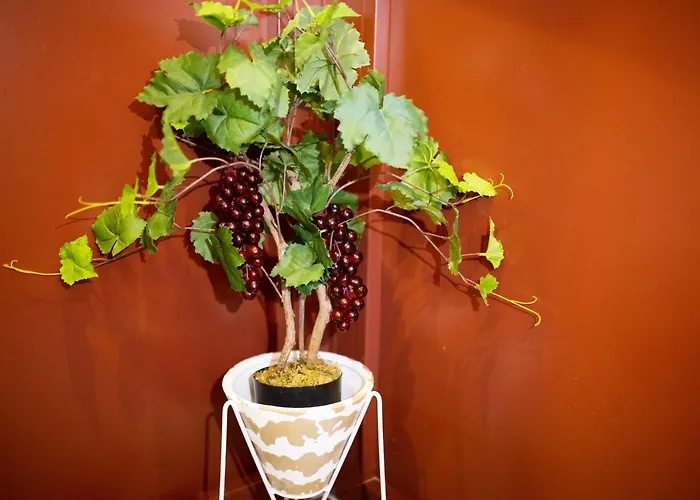 Lita's House Bainharia