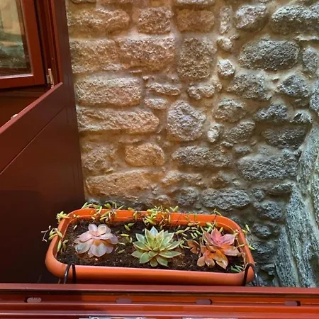 Διαμέρισμα Lita's House Bainharia