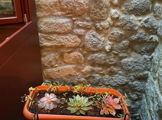 Daire Lita's House Bainharia