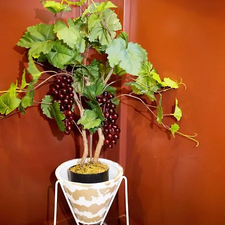 Lita's House Bainharia